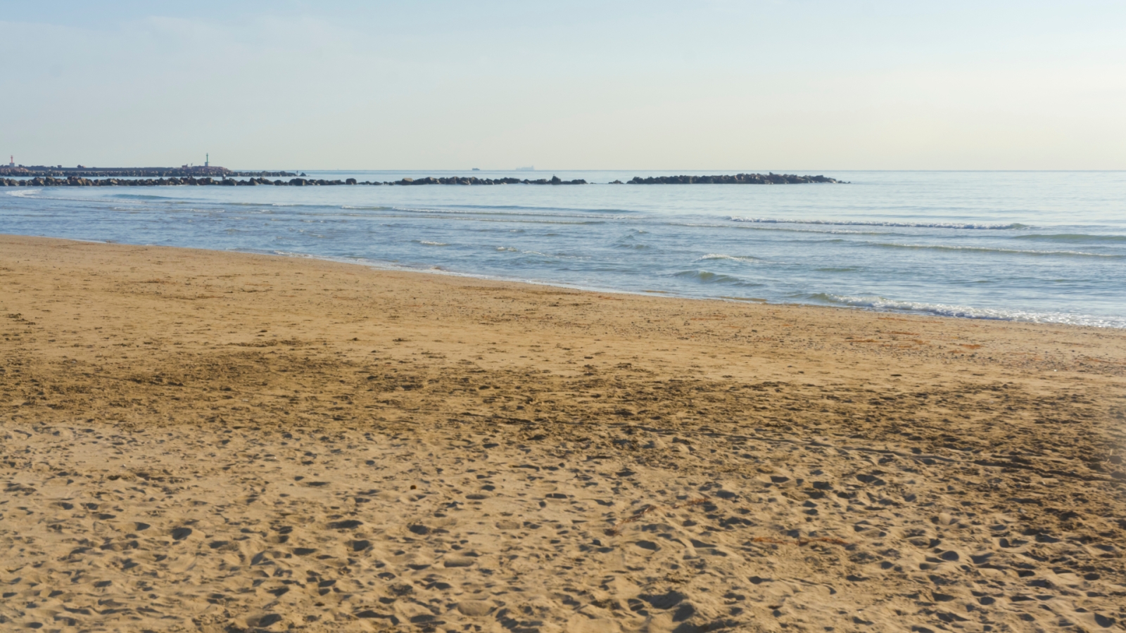 shutterstock 1656250273