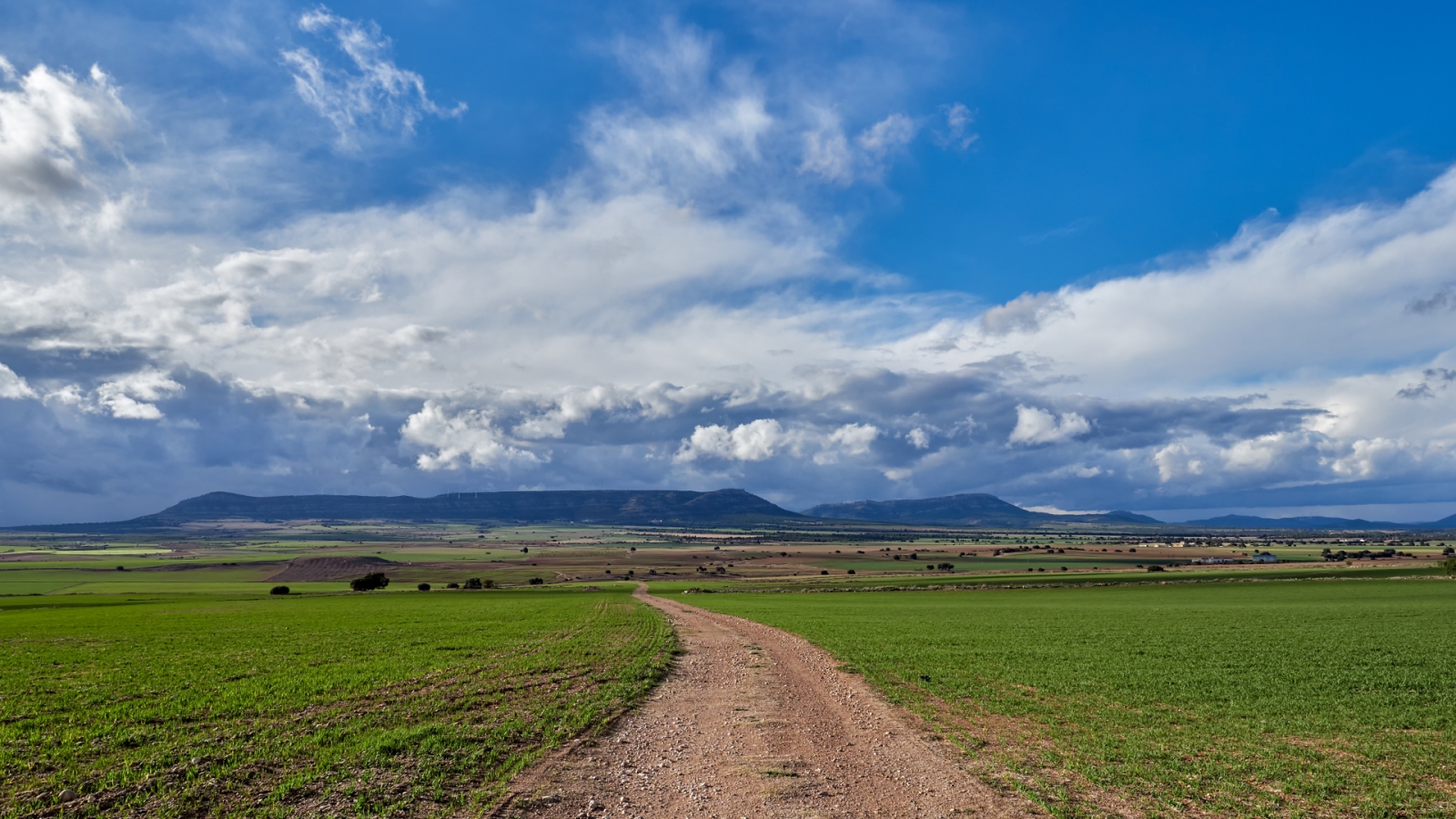 shutterstock 1699556566 - Alpera