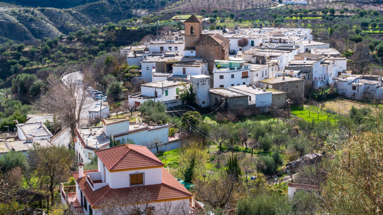 shutterstock 1703017897