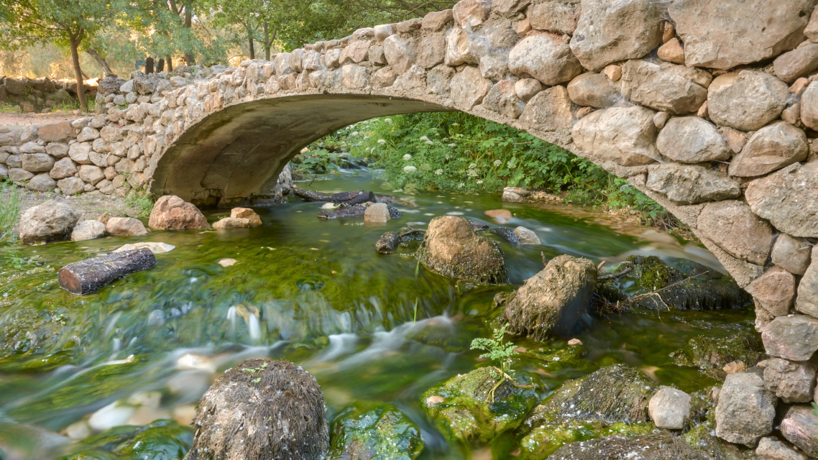 shutterstock 1734211946