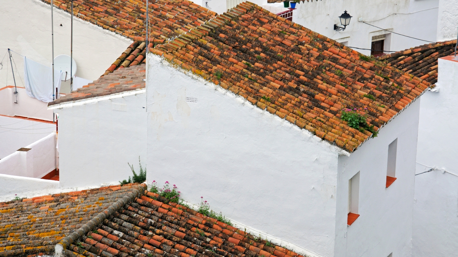 shutterstock 1735189109