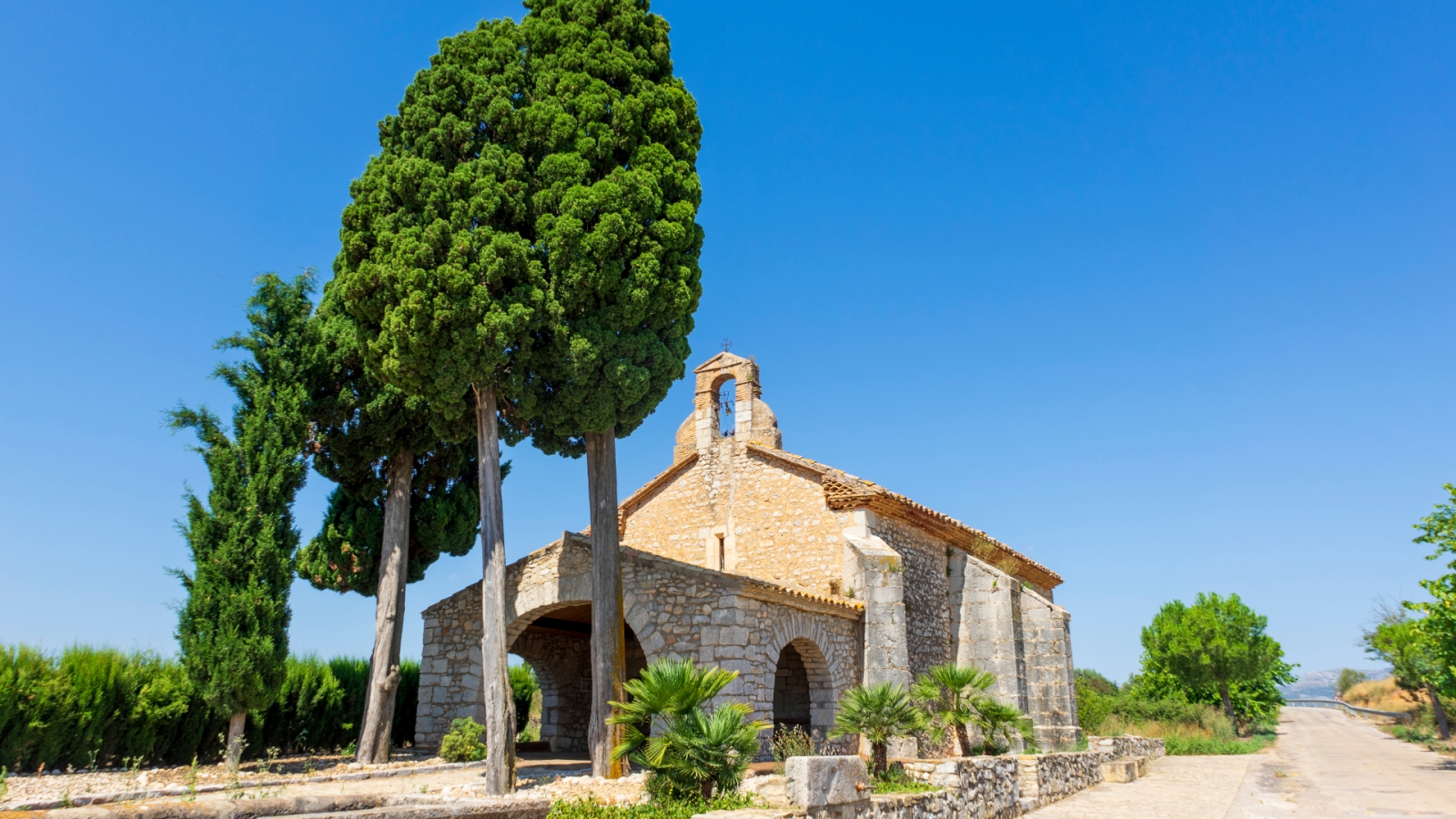 shutterstock 1813452343 - Salsadella