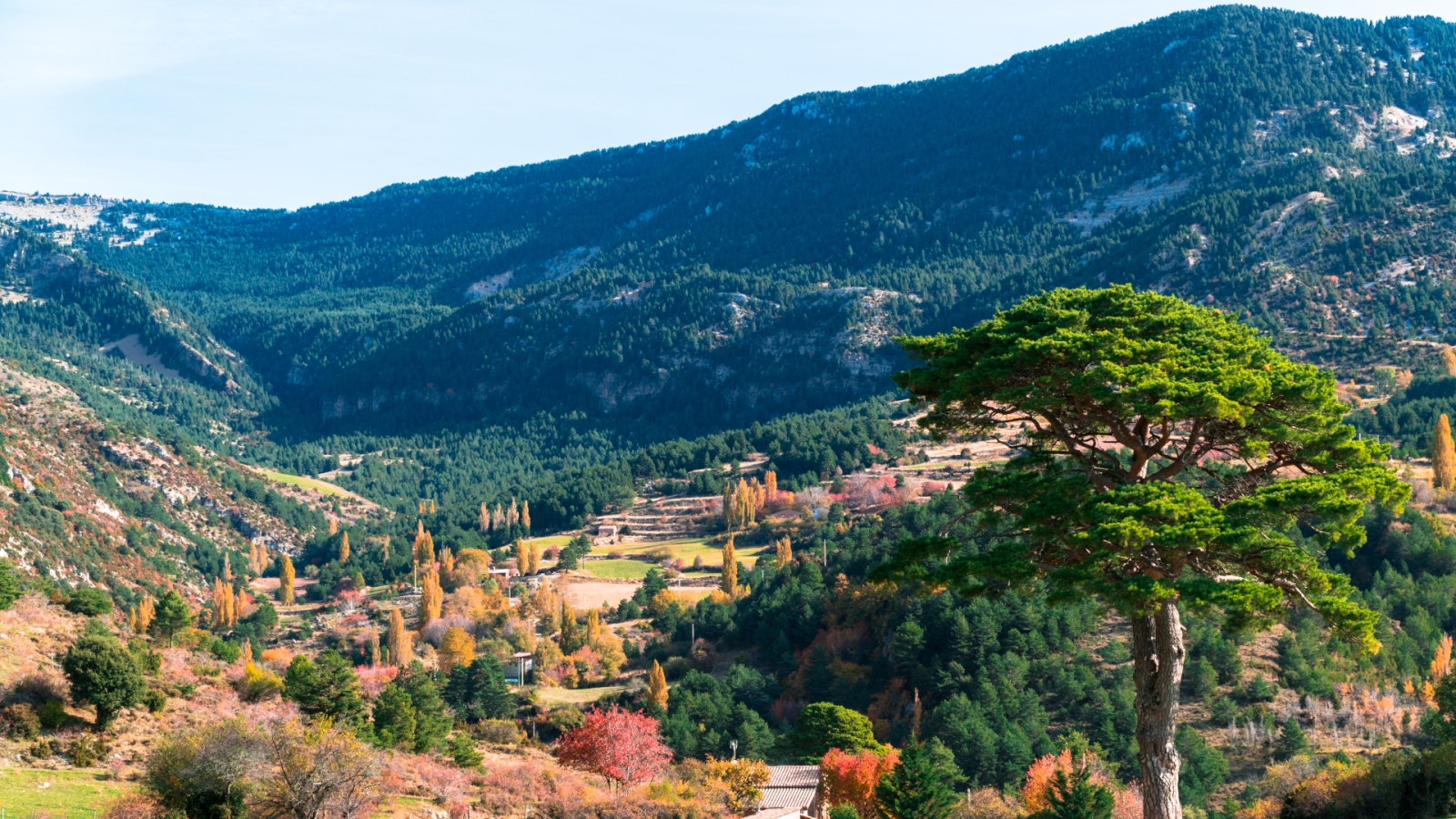 shutterstock 1841020576