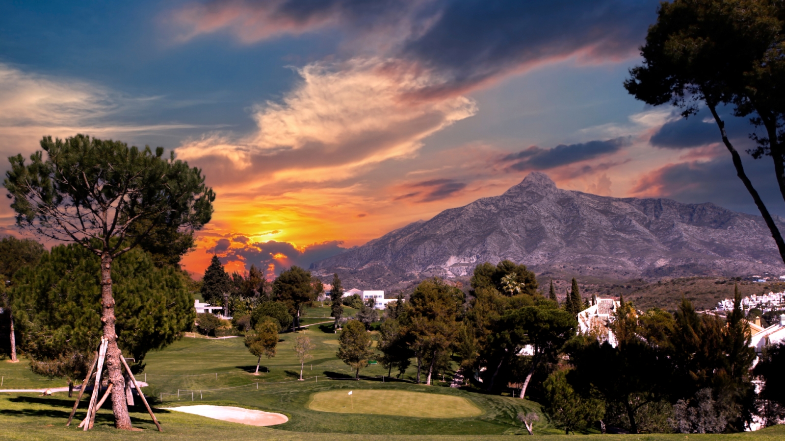 shutterstock 1862202379