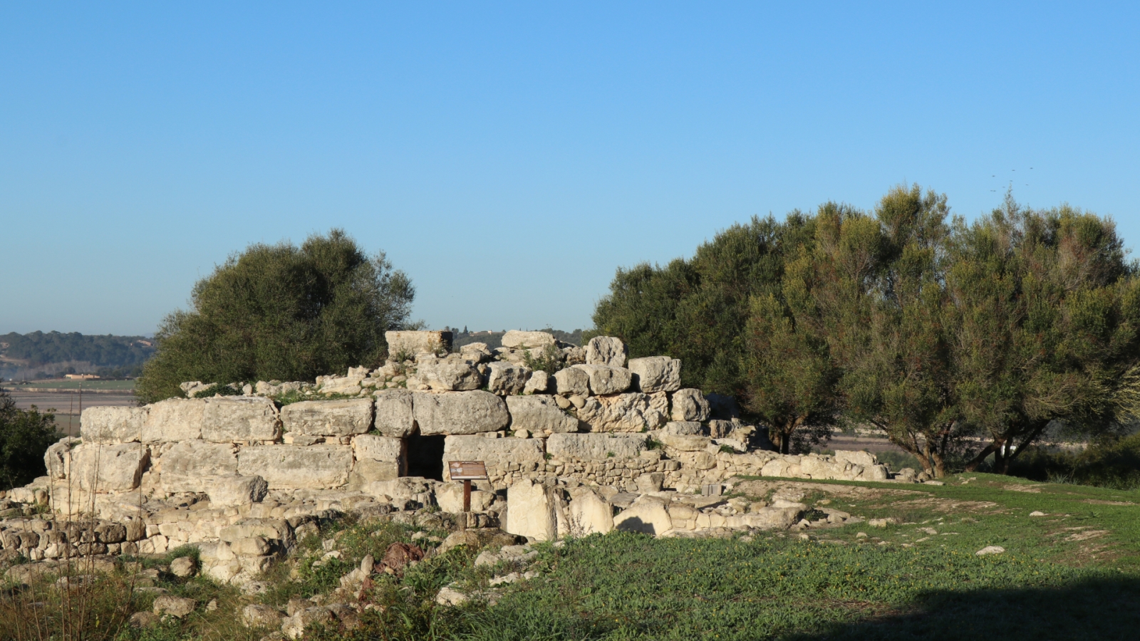 shutterstock 1881777745 - Montuïri