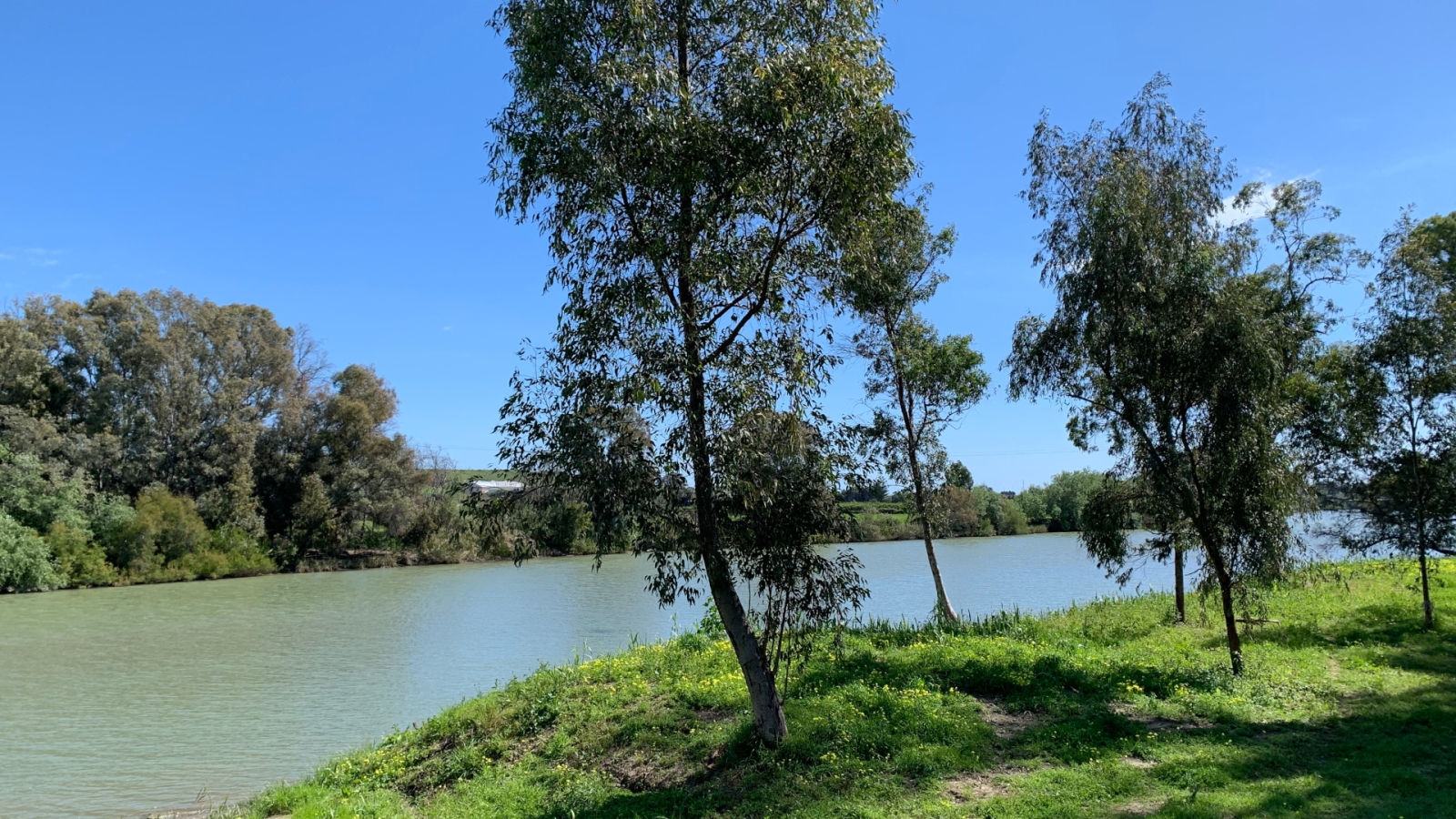 shutterstock 1940437756 - Pueblo Nuevo de Guadiaro