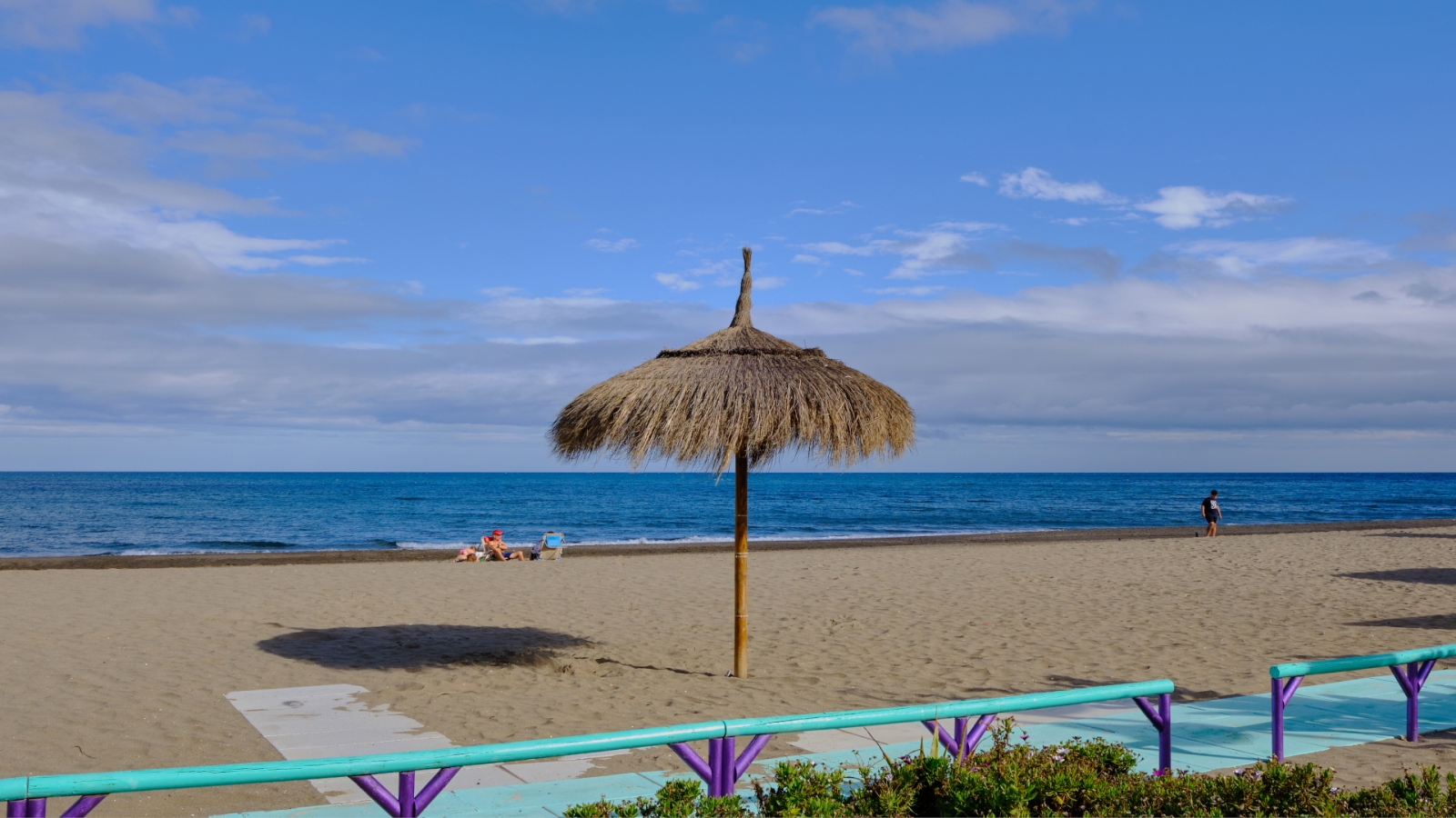 shutterstock 1971422870