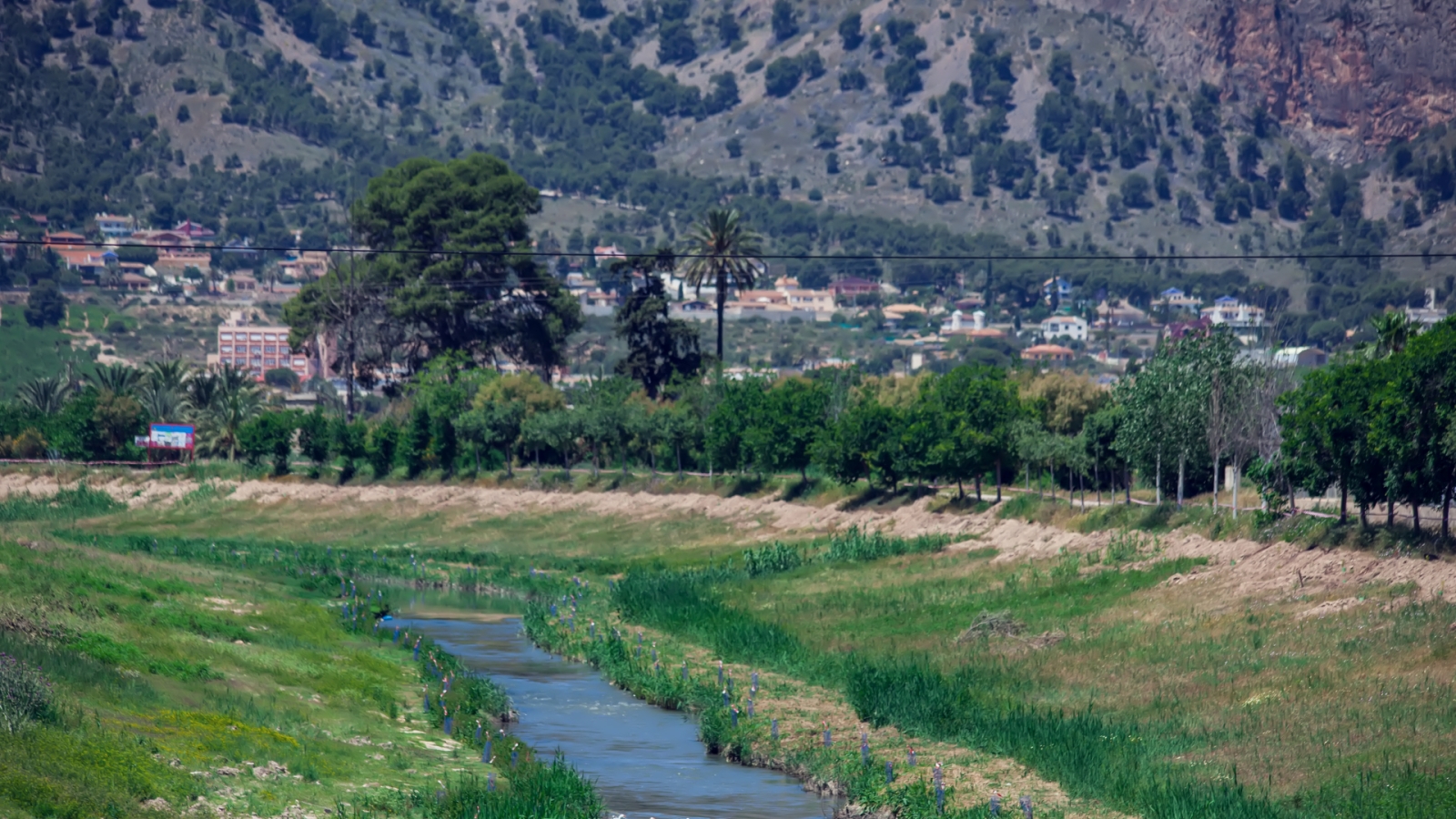 shutterstock1982539451