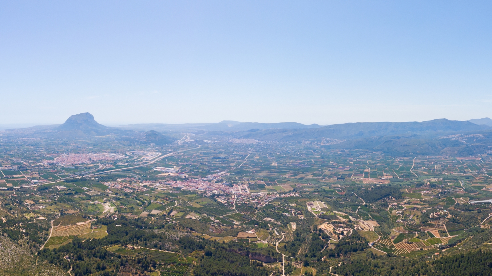 shutterstock 1983502382