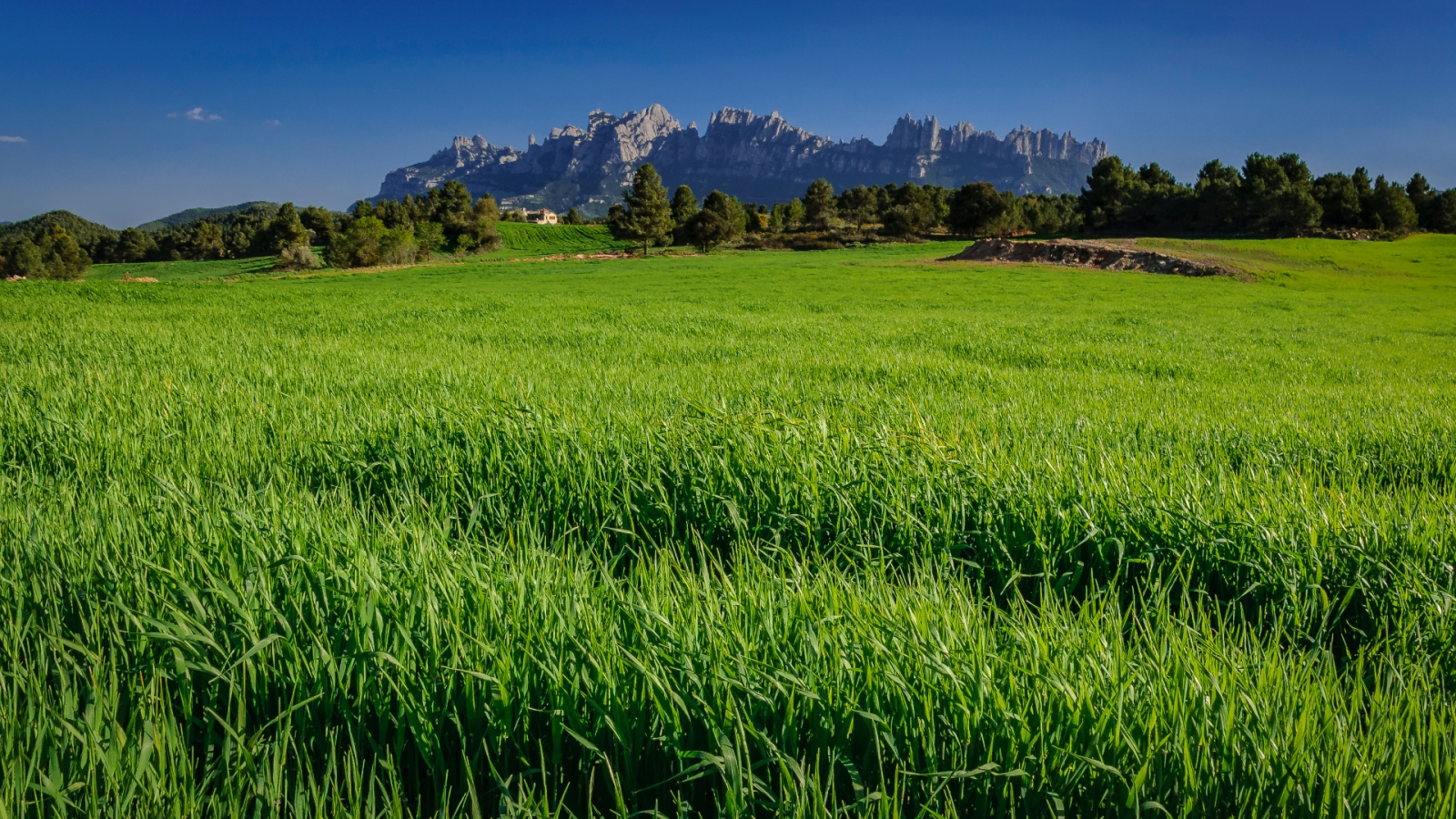 shutterstock 1987680335