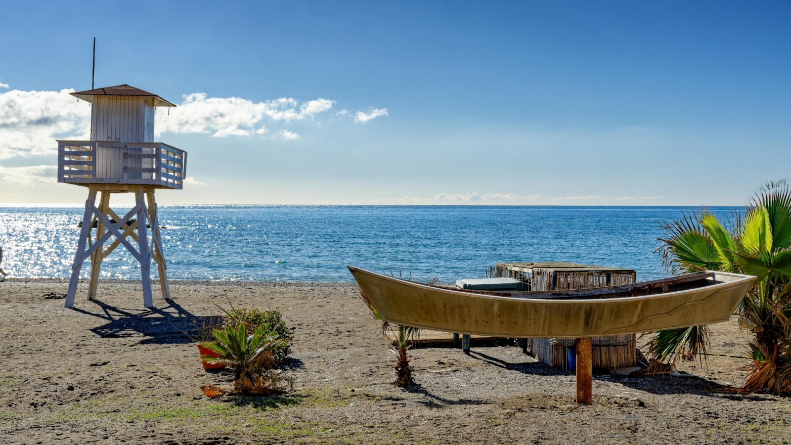 shutterstock 2146481545