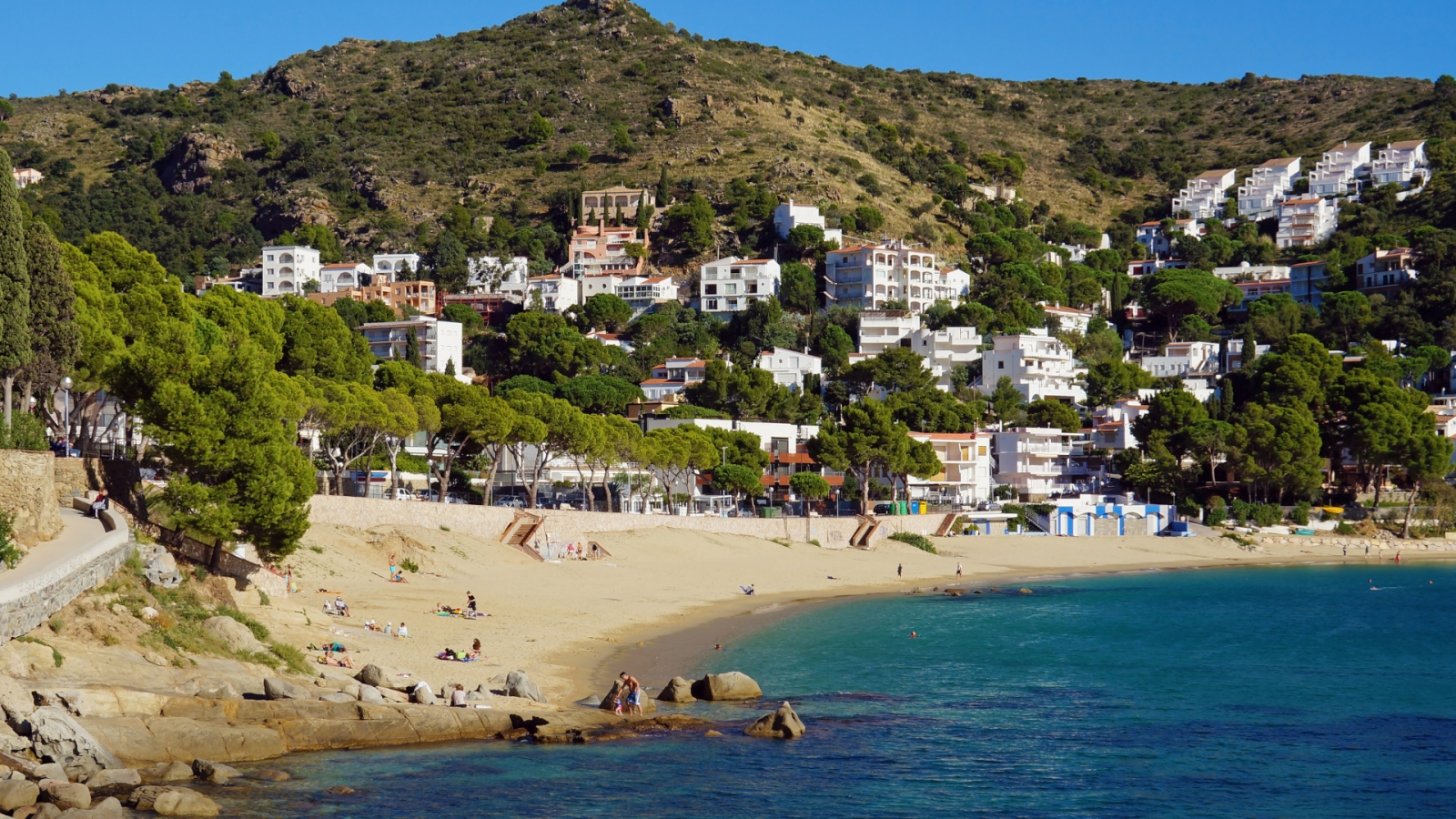 shutterstock 216642631 - Roses