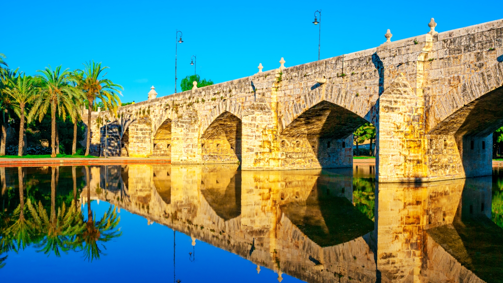 shutterstock 302698517