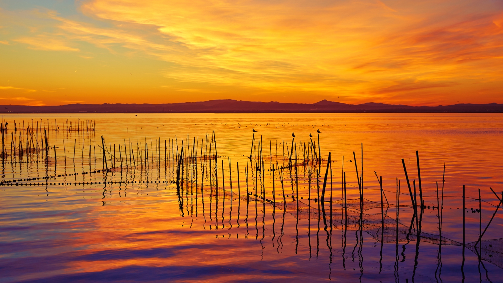 shutterstock 389189758