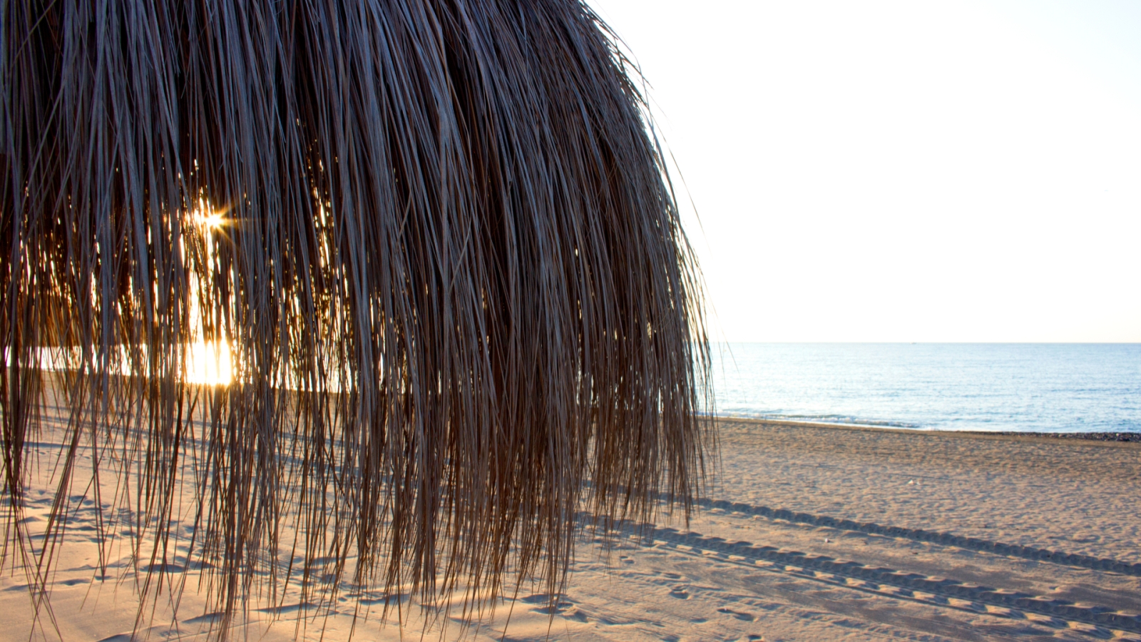 shutterstock 708972760