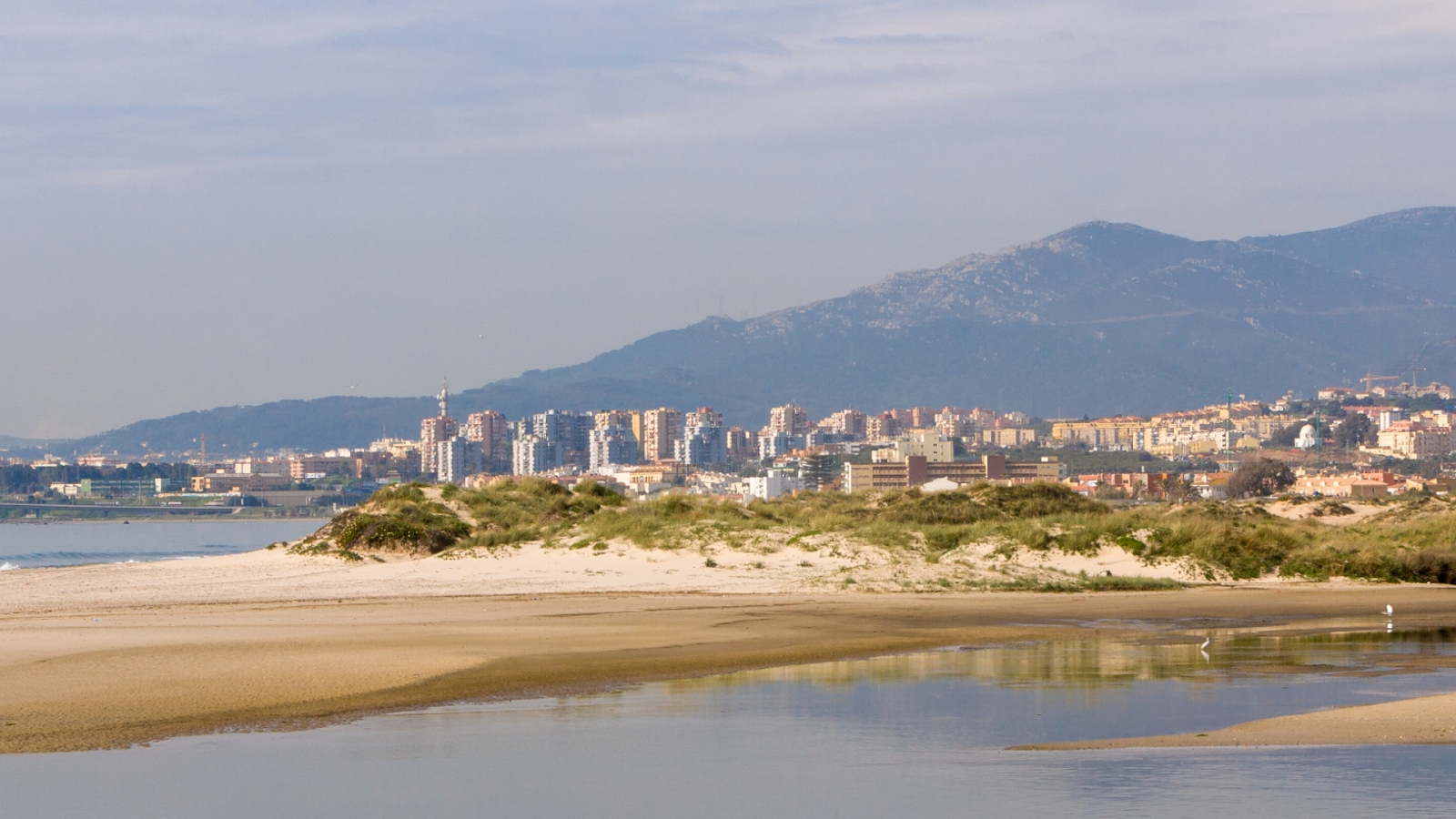 shutterstock 783435133