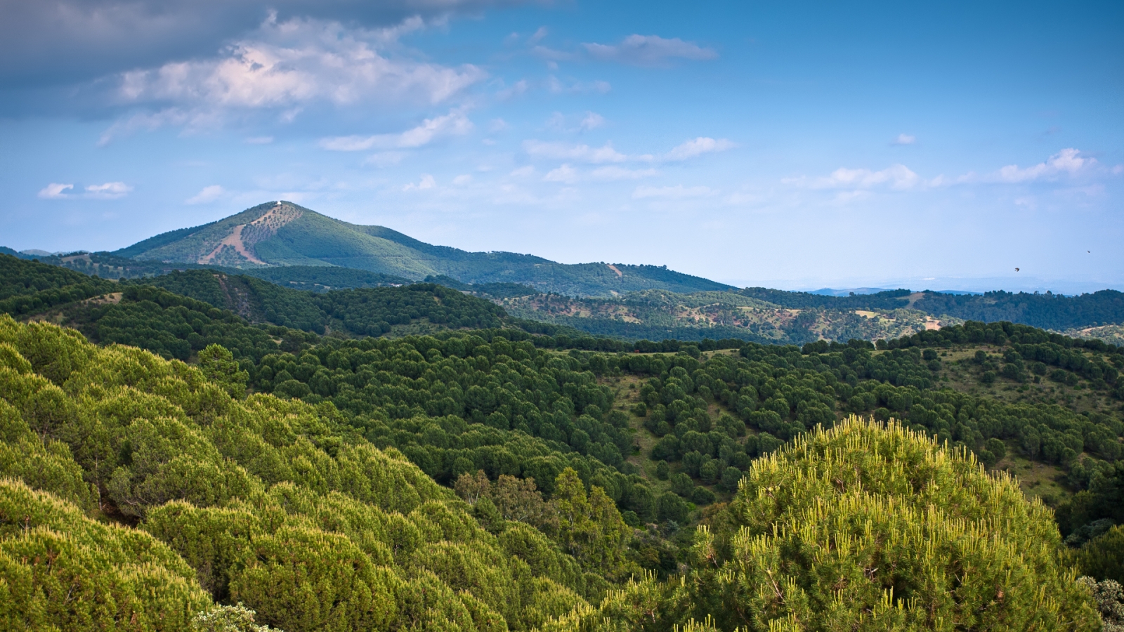 shutterstock 88461952