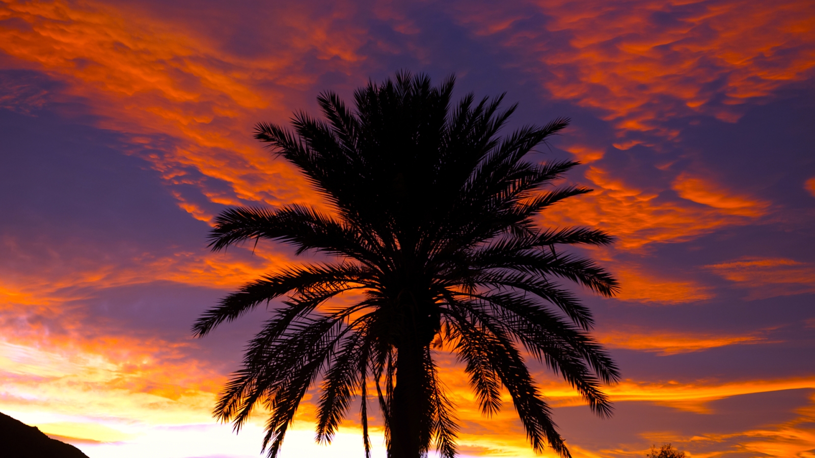 shutterstock 91085117