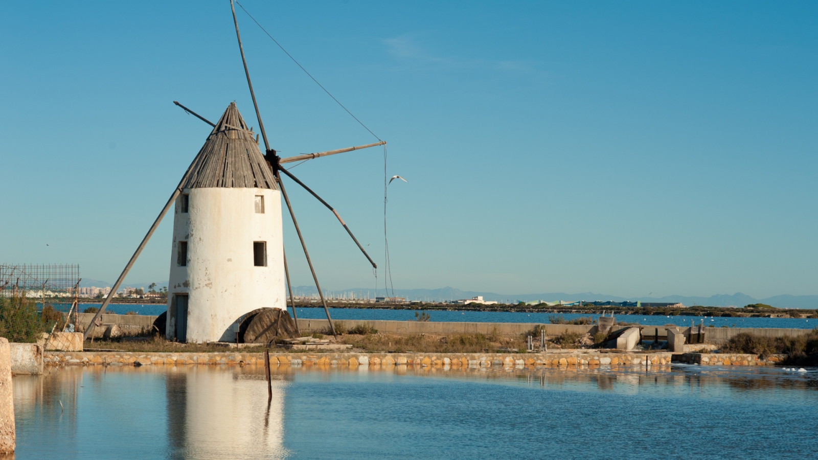 shutterstock 93309013