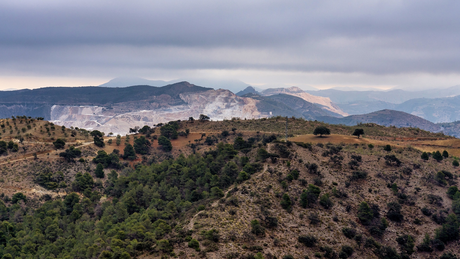 shutterstock 1394801342