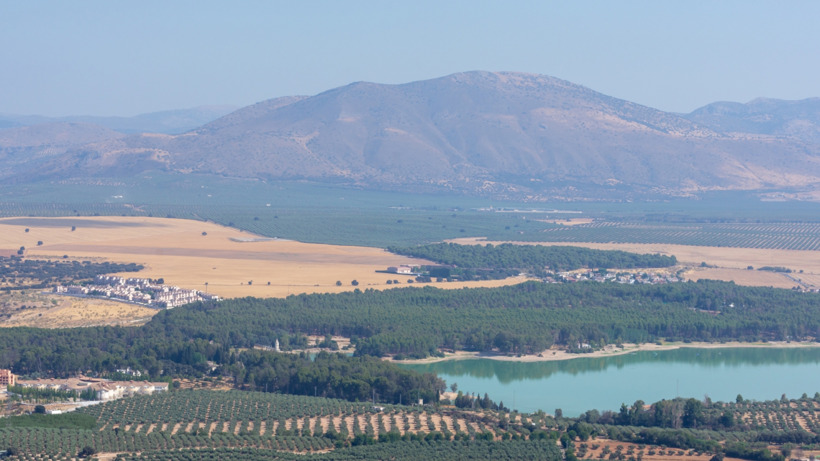 shutterstock 1718774941