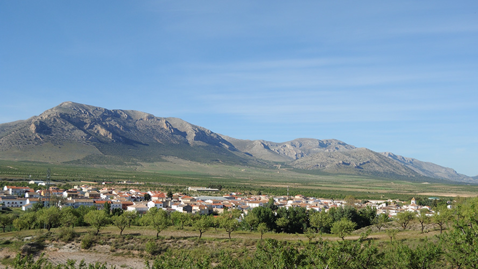 shutterstock 1722761716