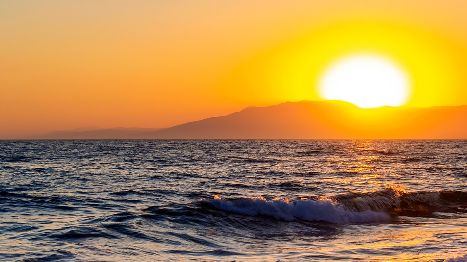 shutterstock 2133327561