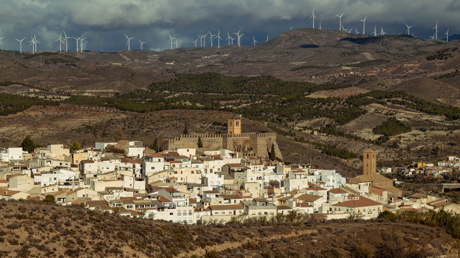 shutterstock_2158263623