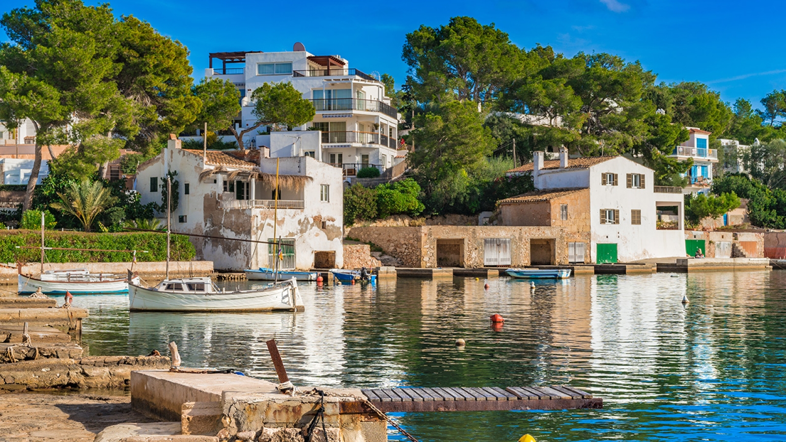 shutterstock 571903309