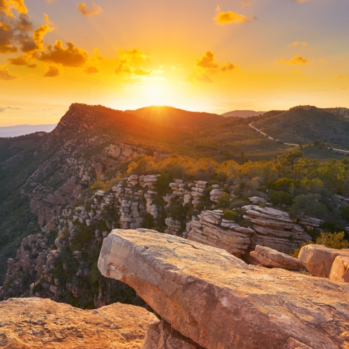 shutterstock 1269235513 - El Garbi