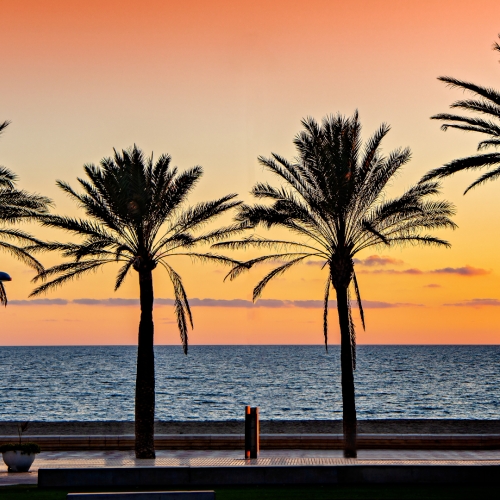 shutterstock 1280906935 - Almeria