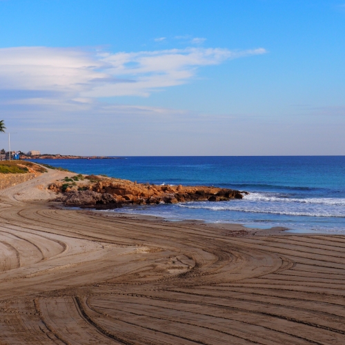 shutterstock 1609518985 - Playa Flamenca