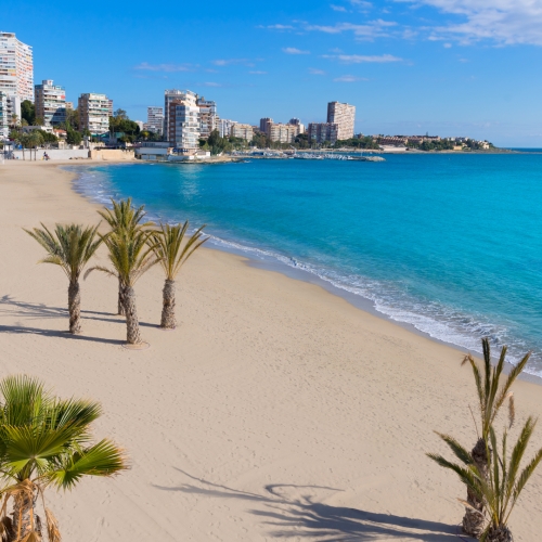 shutterstock 193261325 - Alicante