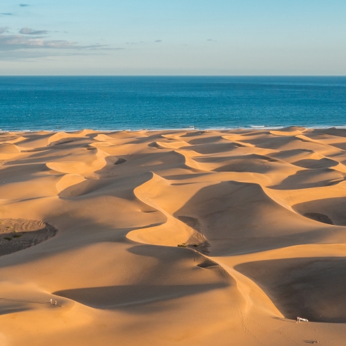 shutterstock 2088984289 - Maspalomas, Gran Canaria