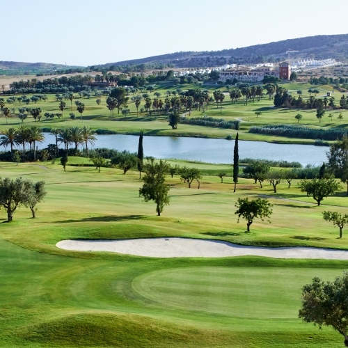 shutterstock 616957586 - Algorfa