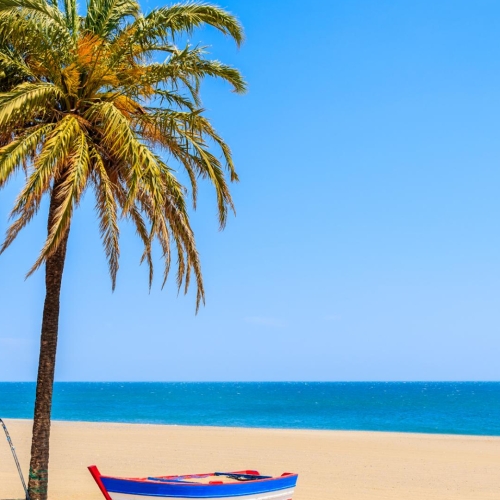 shutterstock 1115533355 - Estepona