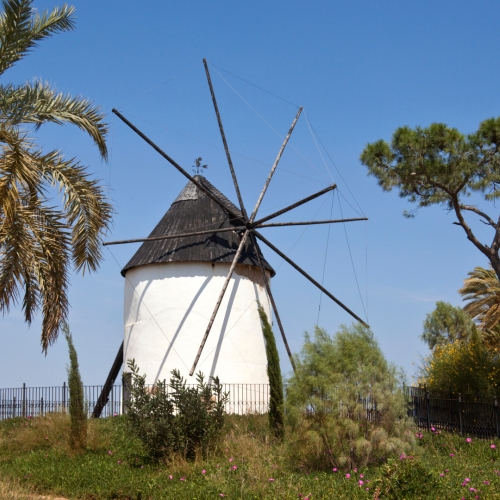 shutterstock 1236740824 - Torre-Pacheco