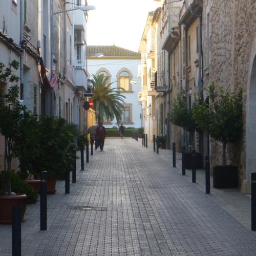 shutterstock 1255034374 - Sa Pobla, Mallorca