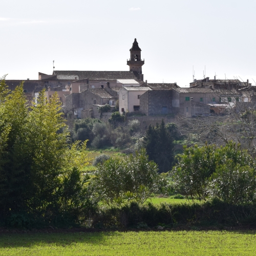 shutterstock 1305153694 - Lloret de Vistalegre