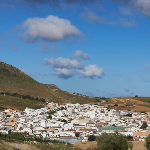 shutterstock 2072762360 - Alameda