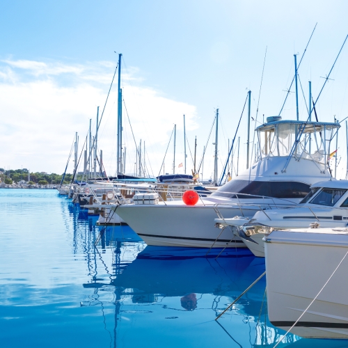 shutterstock 263998277.jpg - Puerto de Platja de Alcudia, Mallorca