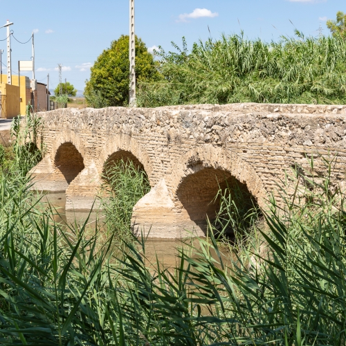 shutterstock 1429491581 - Carcaixent