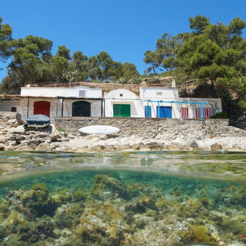 shutterstock 1536465413 - Palamós