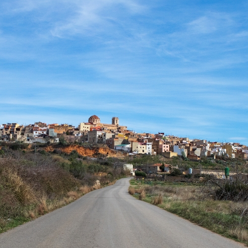 shutterstock 1916183857 - Canet lo Roig