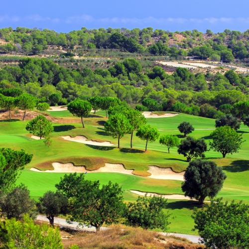 AdobeStock 318227485