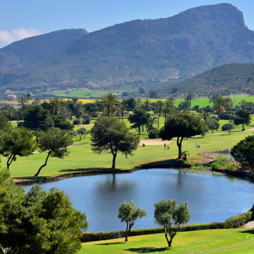 AdobeStock 437737662