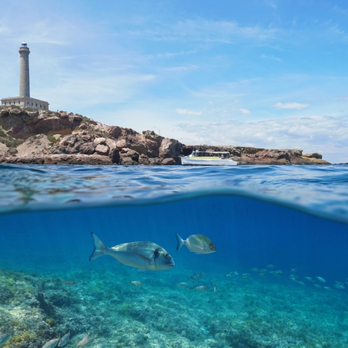shutterstock 1230809857 - Cape Palos
