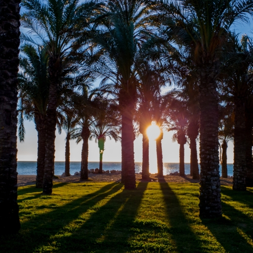 shutterstock 1266616894 - Los Álamos