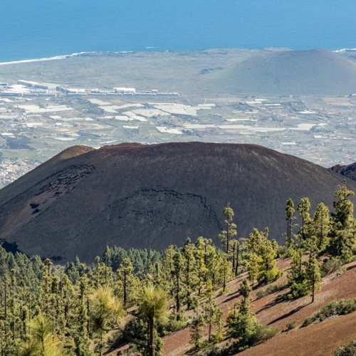 shutterstock 1425188516 - Arafo