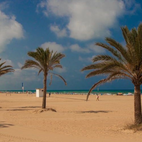 shutterstock 1581975091